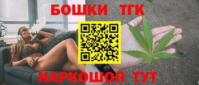 сатива Кингисепп