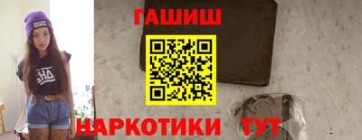 сатива Кингисепп