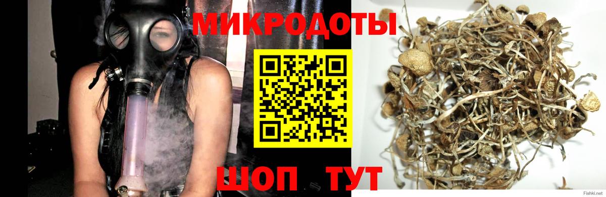 Галлюциногенные грибы GOLDEN TEACHER  где можно купить   Коммунар  Вход с VPN 